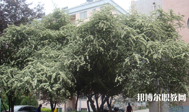 寶雞技師學(xué)院地址，乘車路線