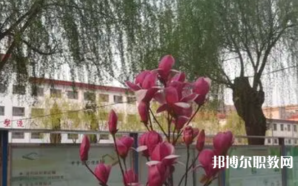 2023柏鄉(xiāng)縣職教中心招生計(jì)劃 招生人數(shù)是多少(附要求、條件、對象)