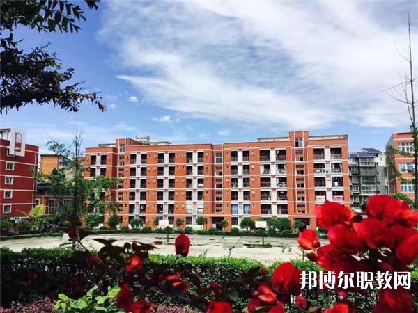四川2024年上完中?？刹豢梢陨洗髮? width=