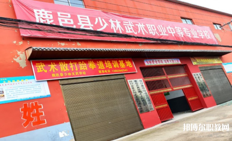 2024鹿邑縣少林武術職業(yè)中等專業(yè)學校招生計劃 招生人數(shù)是多少(附要求、條件、對象)