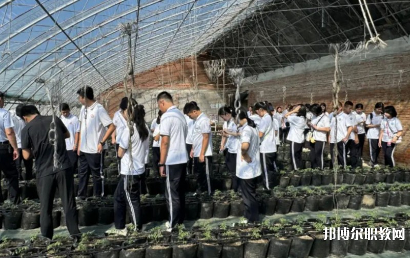2024營口市農業(yè)工程學校招生計劃 招生人數是多少(附要求、條件、對象)