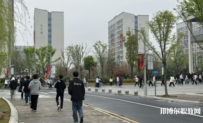2025合肥技師學(xué)院招生計劃 招生人數(shù)是多少(附要求、條件、對象)